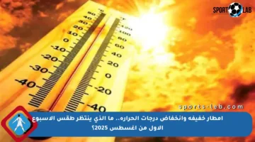 أمطار خفيفة وانخفاض درجات الحرارة.. ما الذي ينتظر طقس الأسبوع الأول من أغسطس 2025؟